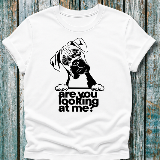 White t-shirt with a graphic of a boxer dog and text 'are you looking at me?' on a wooden surface.