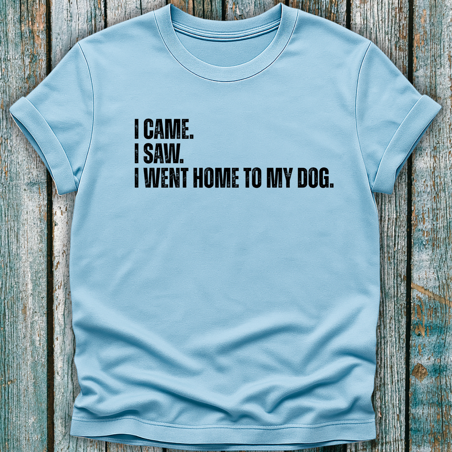Light blue t-shirt with humorous text I came. I saw. I went home to my dog on a wooden surface